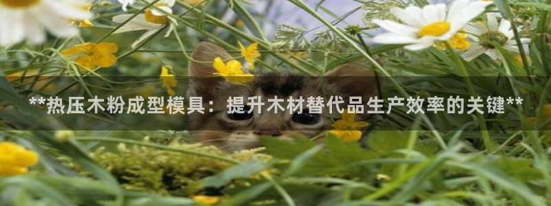 易倍申是进口药吗：**热压木粉成型模具：提升木材替代品生