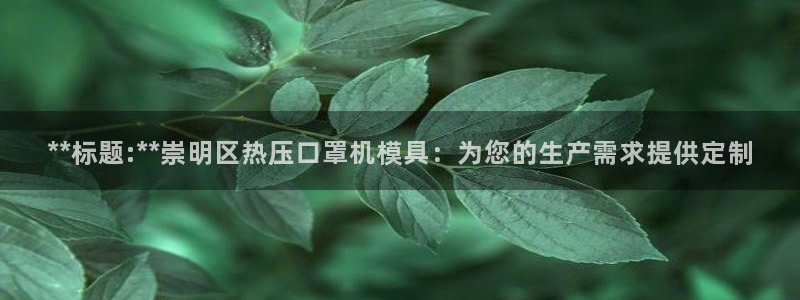 易倍纤谷物粉效果好吗：**标题:**崇明区热压口罩机模具