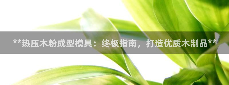 emc 倍频：**热压木粉成型模具：终极指南，打造优质木