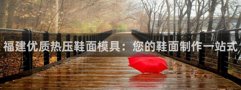 上海易倍投资有限公司