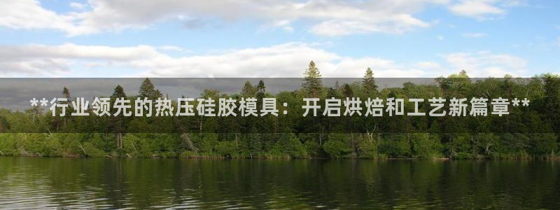 emc倍频：**行业领先的热压硅胶模具：开启烘焙和工艺新