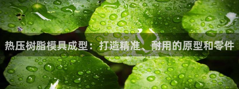 易倍网络技术有限公司招聘