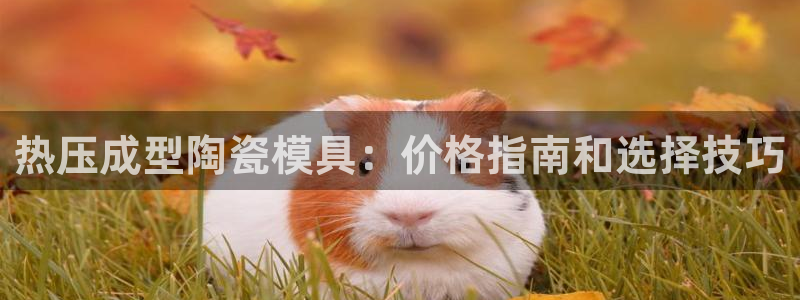 EMC倍频是什么意思：热压成型陶瓷模具：价格指南和选择技