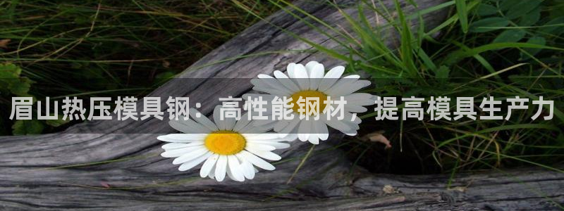 emc 倍频：眉山热压模具钢：高性能钢材，提高模具生产力