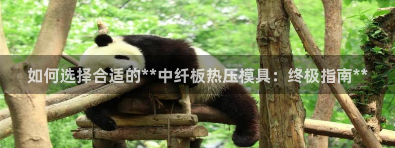 易倍思机电制造(上海)有限公司