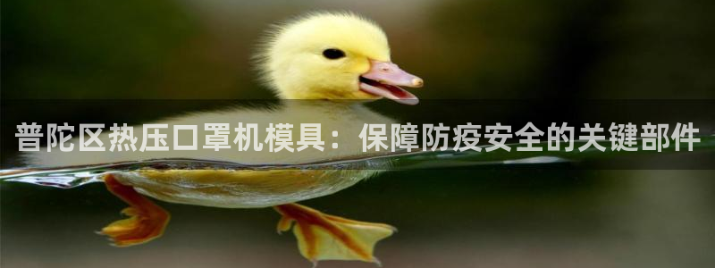 易倍单词官方网站下载安卓