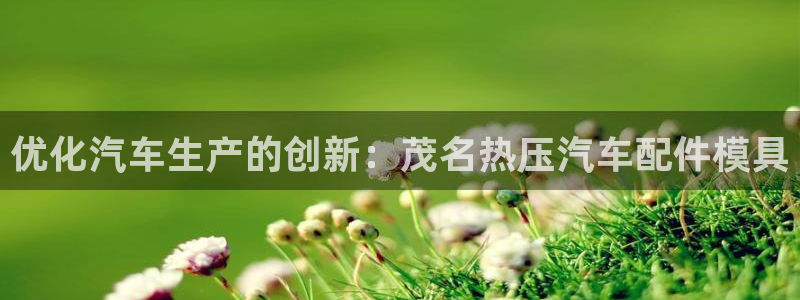 emc备份软件：优化汽车生产的创新：茂名热压汽车配件模具