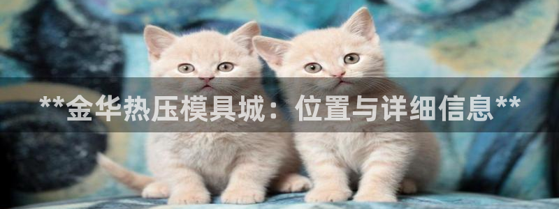易倍康简历