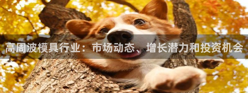 易倍申的包装规格：高周波模具行业：市场动态、增长潜力和投