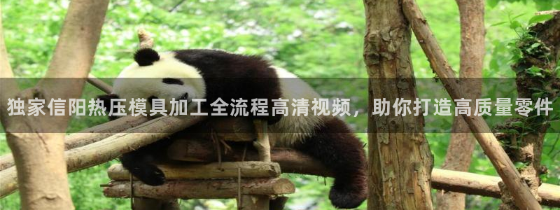 emc下载：独家信阳热压模具加工全流程高清视频，助你打造