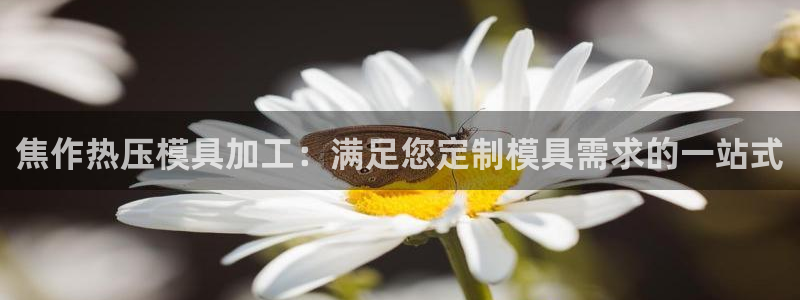 易倍思教育：焦作热压模具加工：满足您定制模具需求的一站式