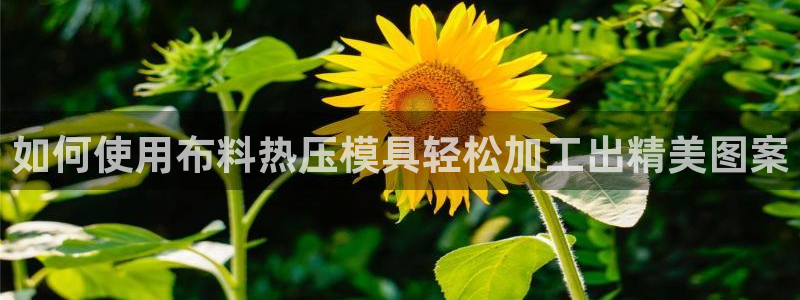 EMC倍频系数：如何使用布料热压模具轻松加工出精美图案