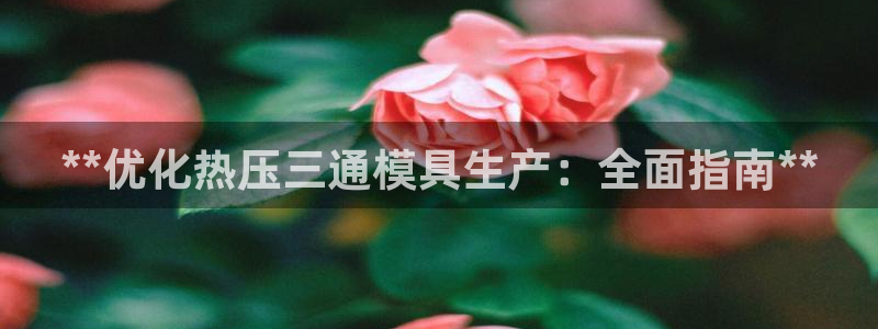 易倍纤多少钱：**优化热压三通模具生产：全面指南**