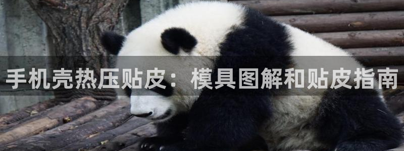 易倍网络技术有限公司官网