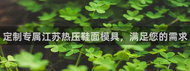 易倍网络技术有限公司