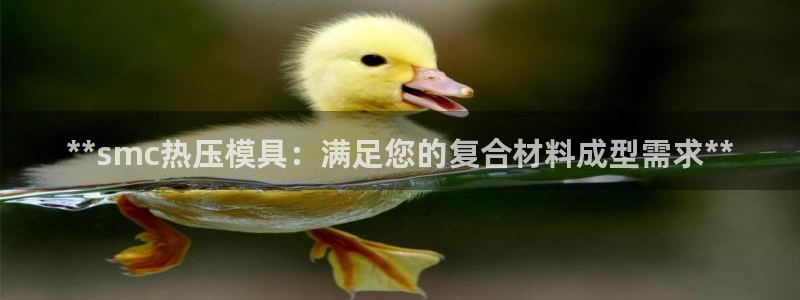 emc32软件使用说明：**smc热压模具：满足您的复合