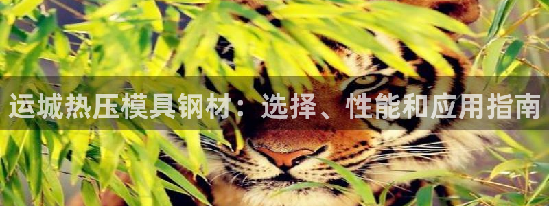 emcapp下载普通下载