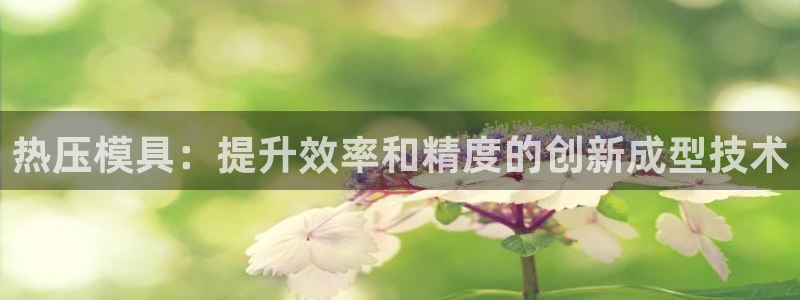 emc服务器是干啥的：热压模具：提升效率和精度的创新成型