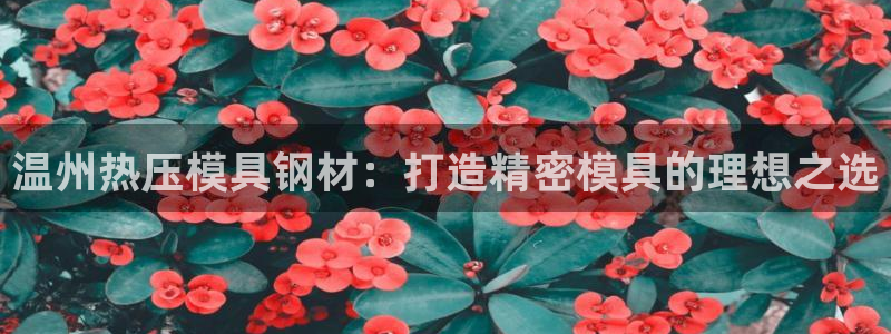 emc32软件安装：温州热压模具钢材：打造精密模具的理想