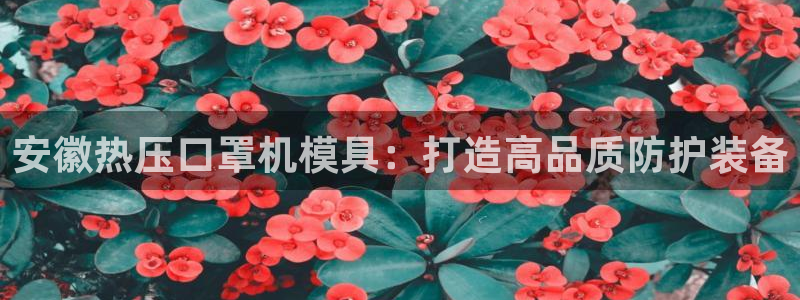 emc易倍官网