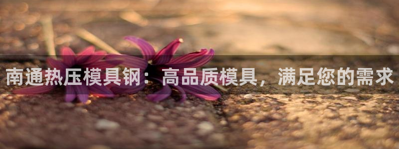 易倍emc安全吗：南通热压模具钢：高品质模具，满足您的需