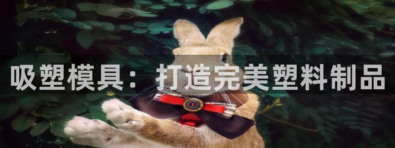 易倍易趣网：吸塑模具：打造完美塑料制品