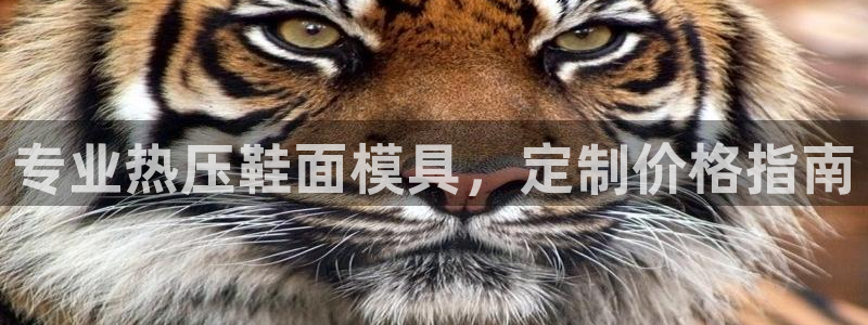 emc app下载