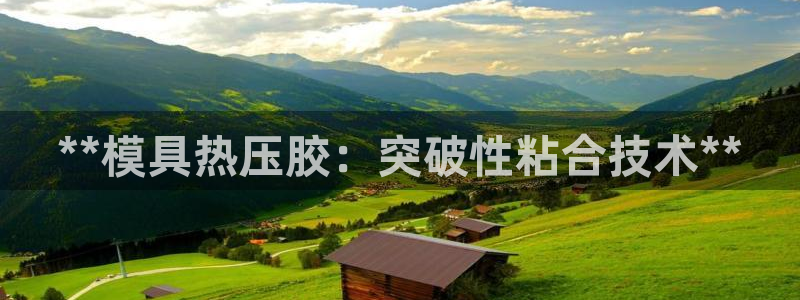 emc易倍在线登录：**模具热压胶：突破性粘合技术**