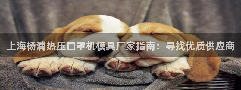 易倍单词官方网站