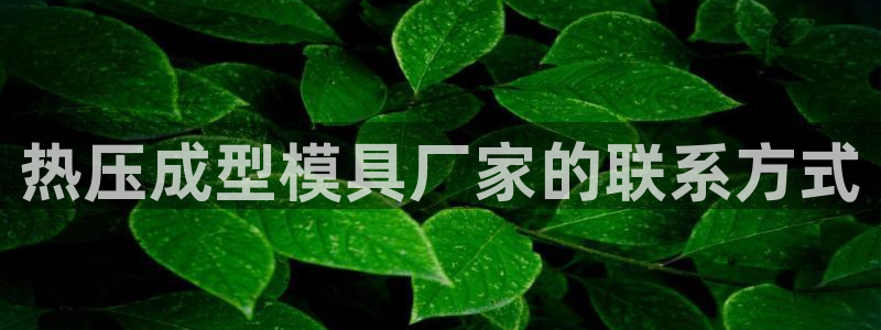 易倍下载