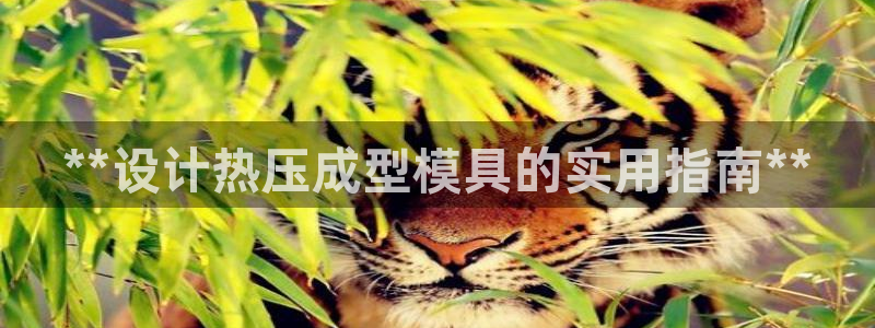 易倍纤能减肥吗