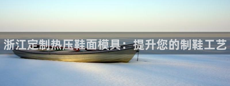 易倍达科技有限公司官网：浙江定制热压鞋面模具：提升您的制