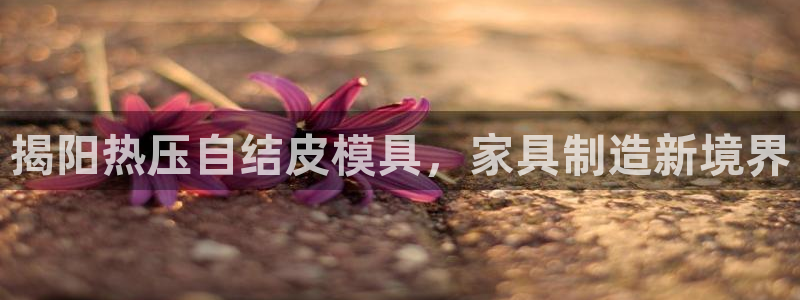 emc易倍官网app下载