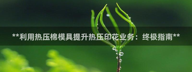 易倍单词官方网站下载：**利用热压棉模具提升热压印花业务