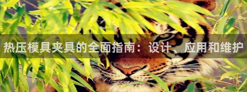 易倍达怎么样