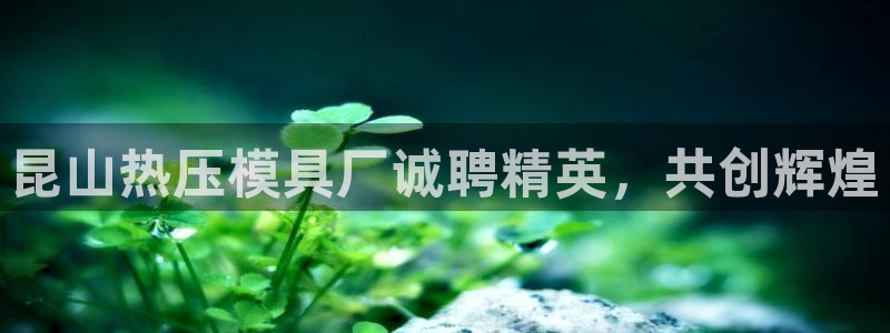 emc易倍官网登录首页：昆山热压模具厂诚聘精英，共创辉煌