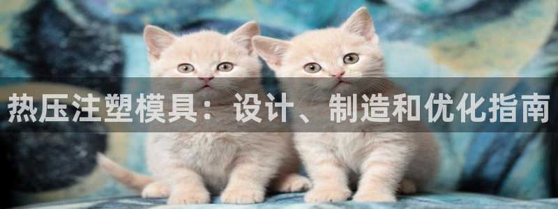 emc下载：热压注塑模具：设计、制造和优化指南