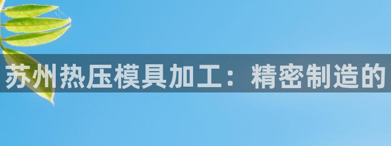 易倍电竞：苏州热压模具加工：精密制造的