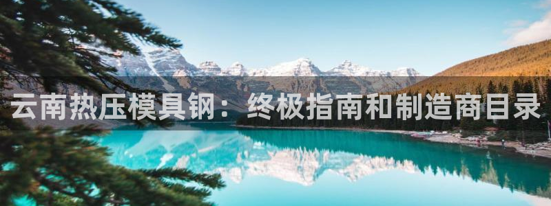 易倍emc安全吗：云南热压模具钢：终极指南和制造商目录
