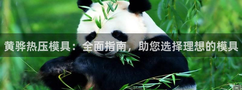 易倍思怎么样：黄骅热压模具：全面指南，助您选择理想的模具
