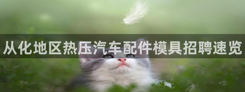 emc易倍官方平台