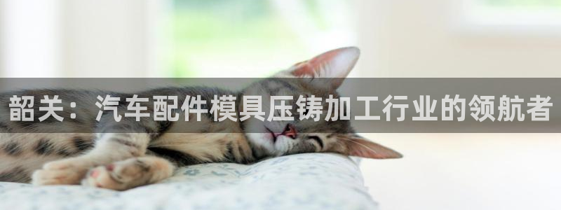 EMC倍频是什么意思