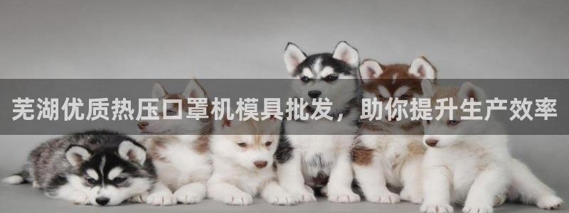 易倍单词登录平台