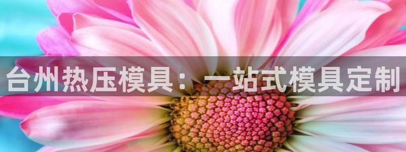 易倍emc安全吗：台州热压模具：一站式模具定制