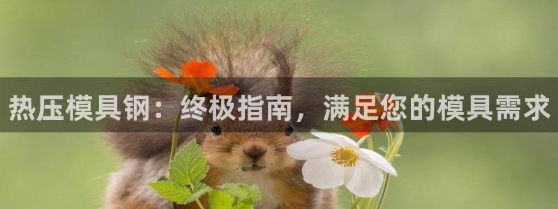 易倍网络技术有限公司是干嘛的：热压模具钢：终极指南，满足