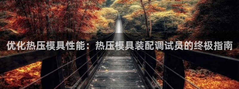易倍电竞,有球必应：优化热压模具性能：热压模具装配调试员