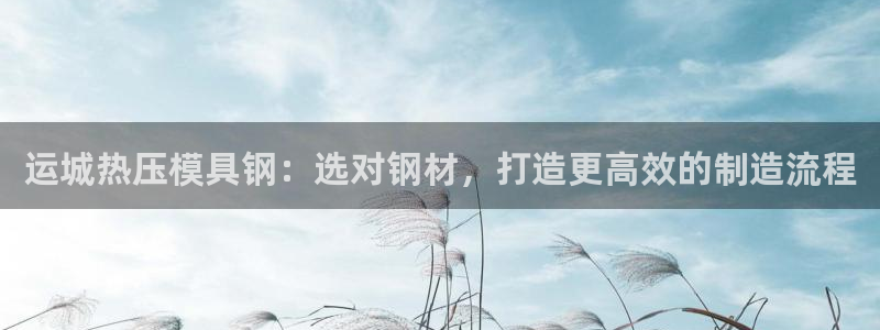 易倍申多少钱