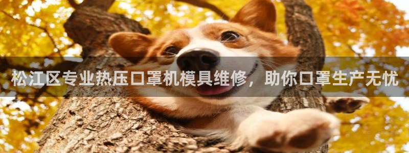 易倍纤减肥反弹不