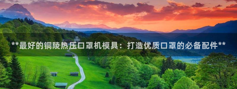 emc易贝体育怎么样：**最好的铜陵热压口罩机模具：打造