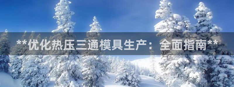 易倍网络技术有限公司：**优化热压三通模具生产：全面指南